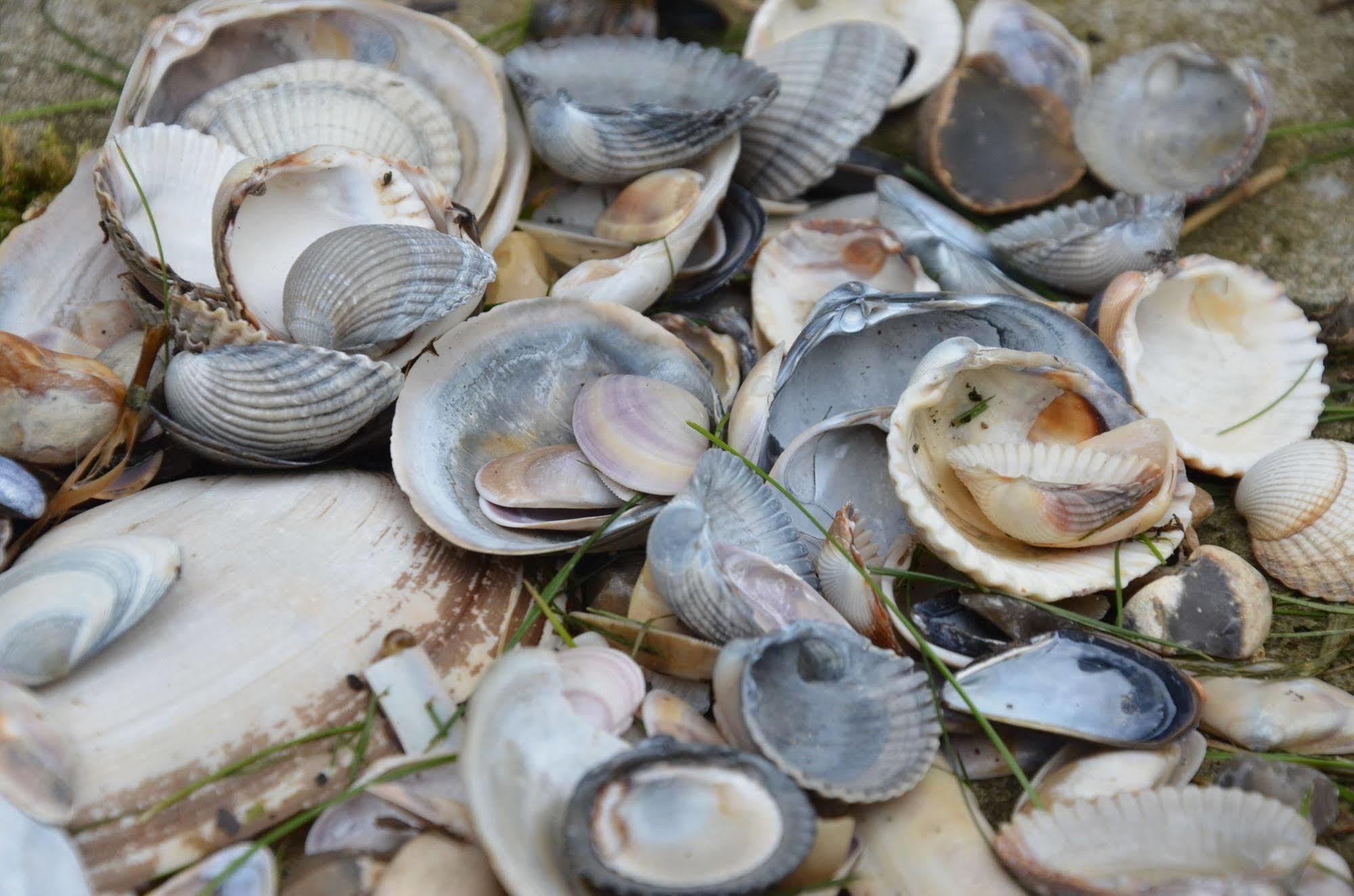 Dormio Resort Berck Sur Mer Eksteriør bilde